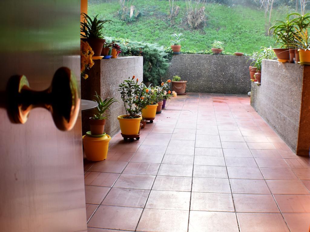 Tarcisio B&B Tavullia Cameră foto