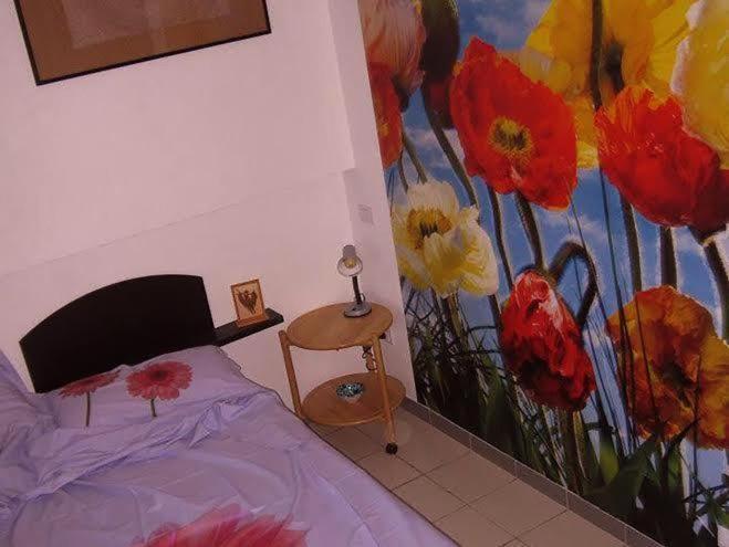 Tarcisio B&B Tavullia Cameră foto